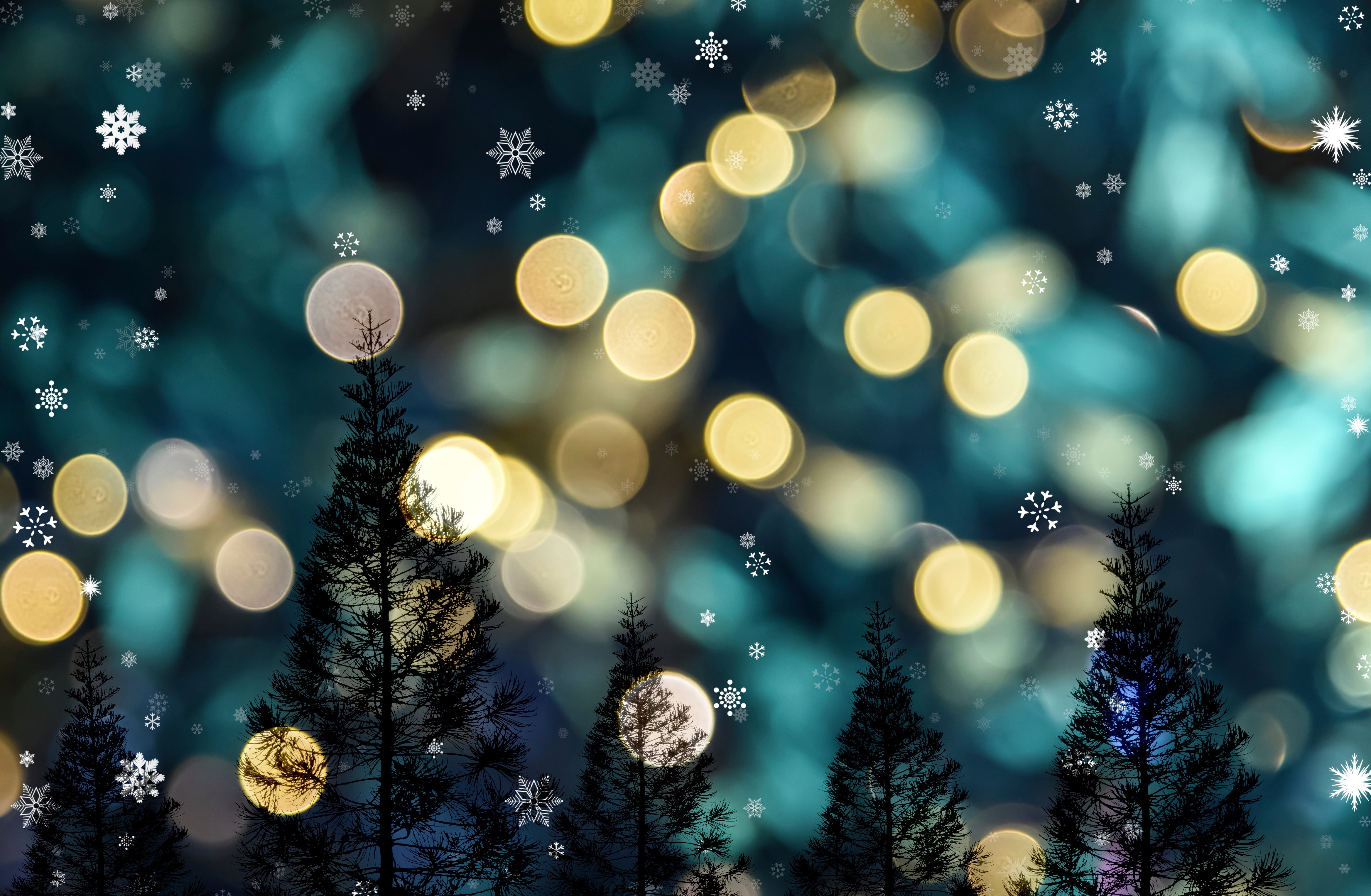 files/AdobeStock_233946352.jpg