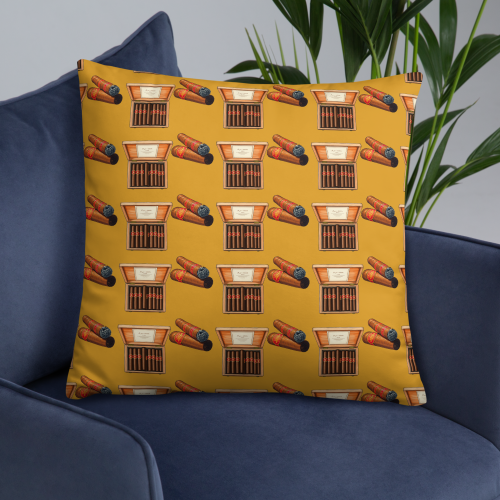 files/all-over-print-basic-pillow-22x22-front-lifestyle-6-680e8c666260a.png
